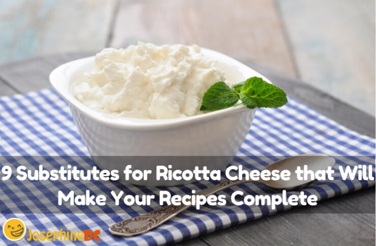 9 Substitutes For Ricotta Cheese That Will Make Your Recipes